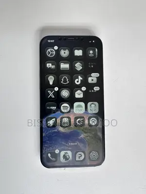 Apple iPhone 12 Pro Max 256 GB Gray