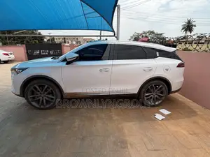 Byd Tang for Rent