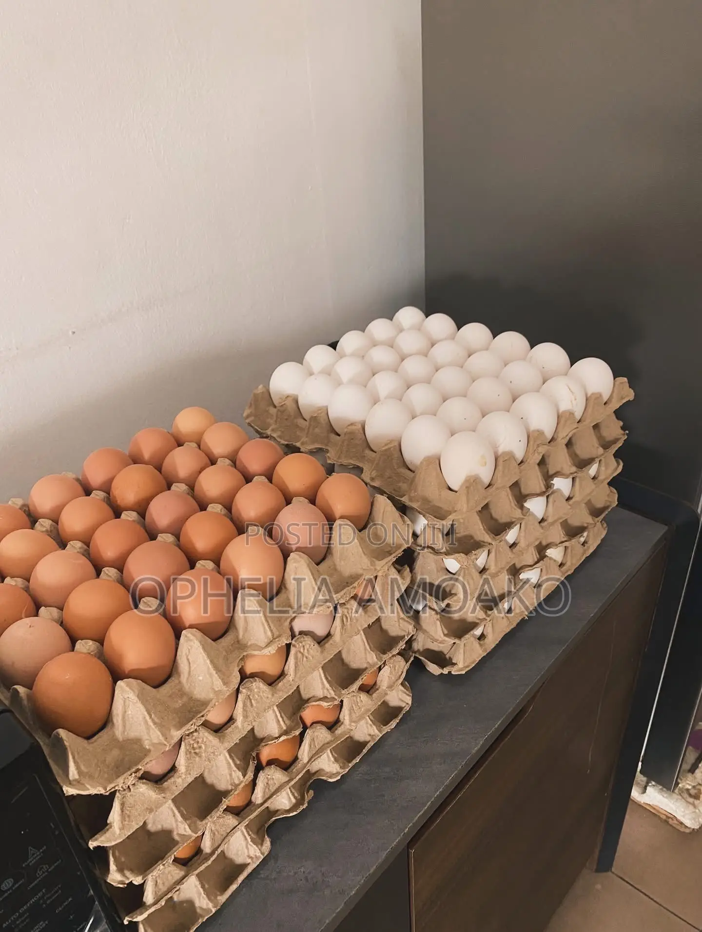 Eggs Very Affordable
