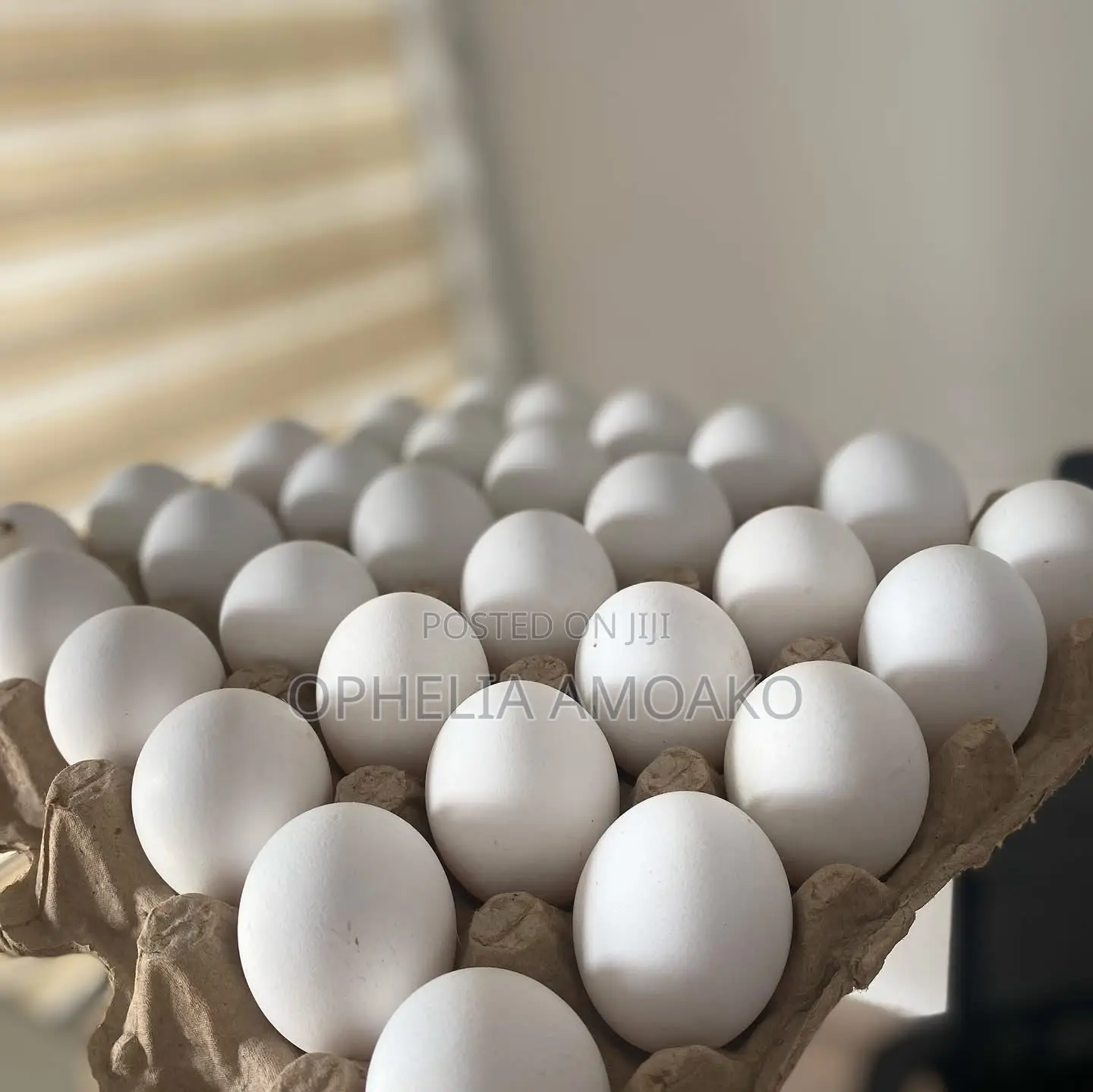 Eggs Very Affordable