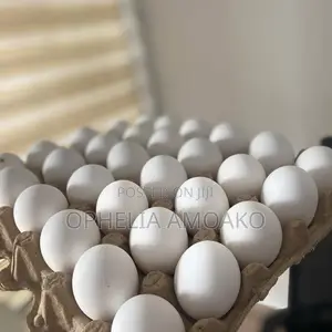 Eggs Very Affordable