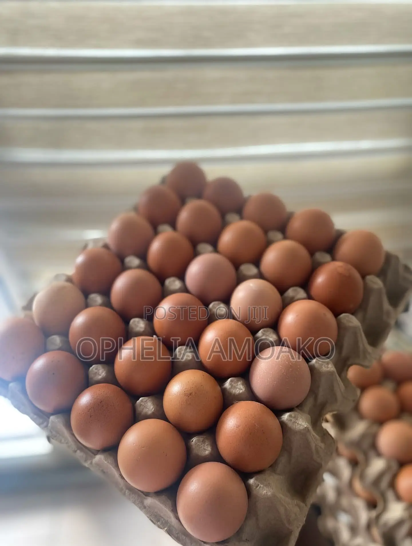 Eggs Very Affordable