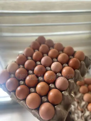 Eggs Very Affordable