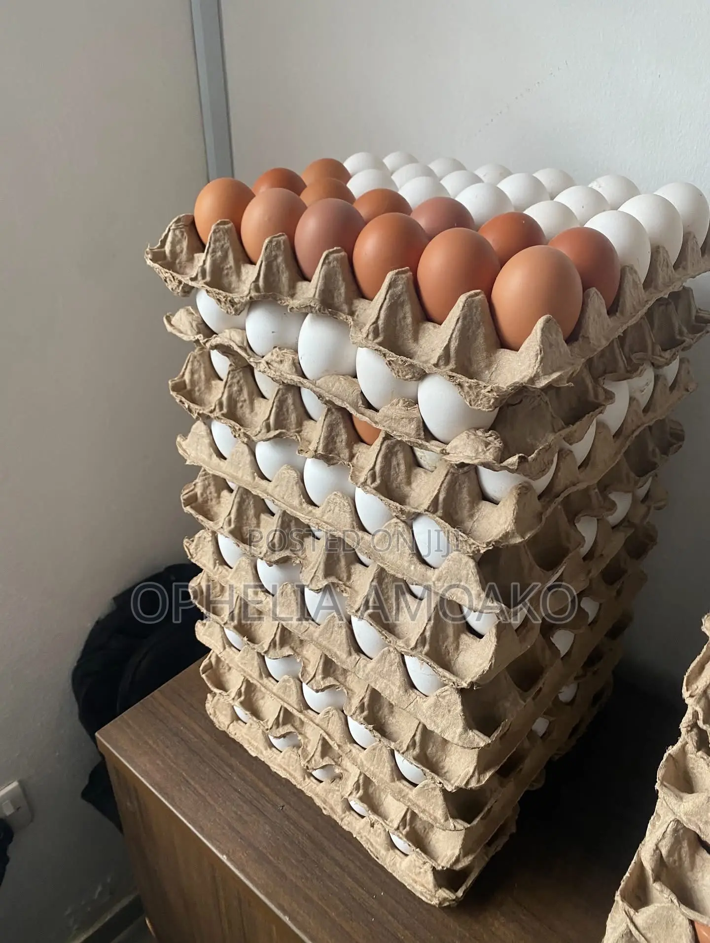 Eggs Very Affordable