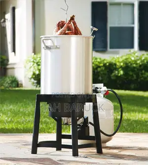 Members Mark Turkey Fryer Gas