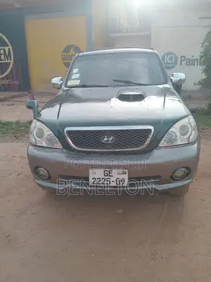 Hyundai Terracan 2.9 CRDi 2008 Green