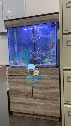 Caf Aquarium With Live Fishes