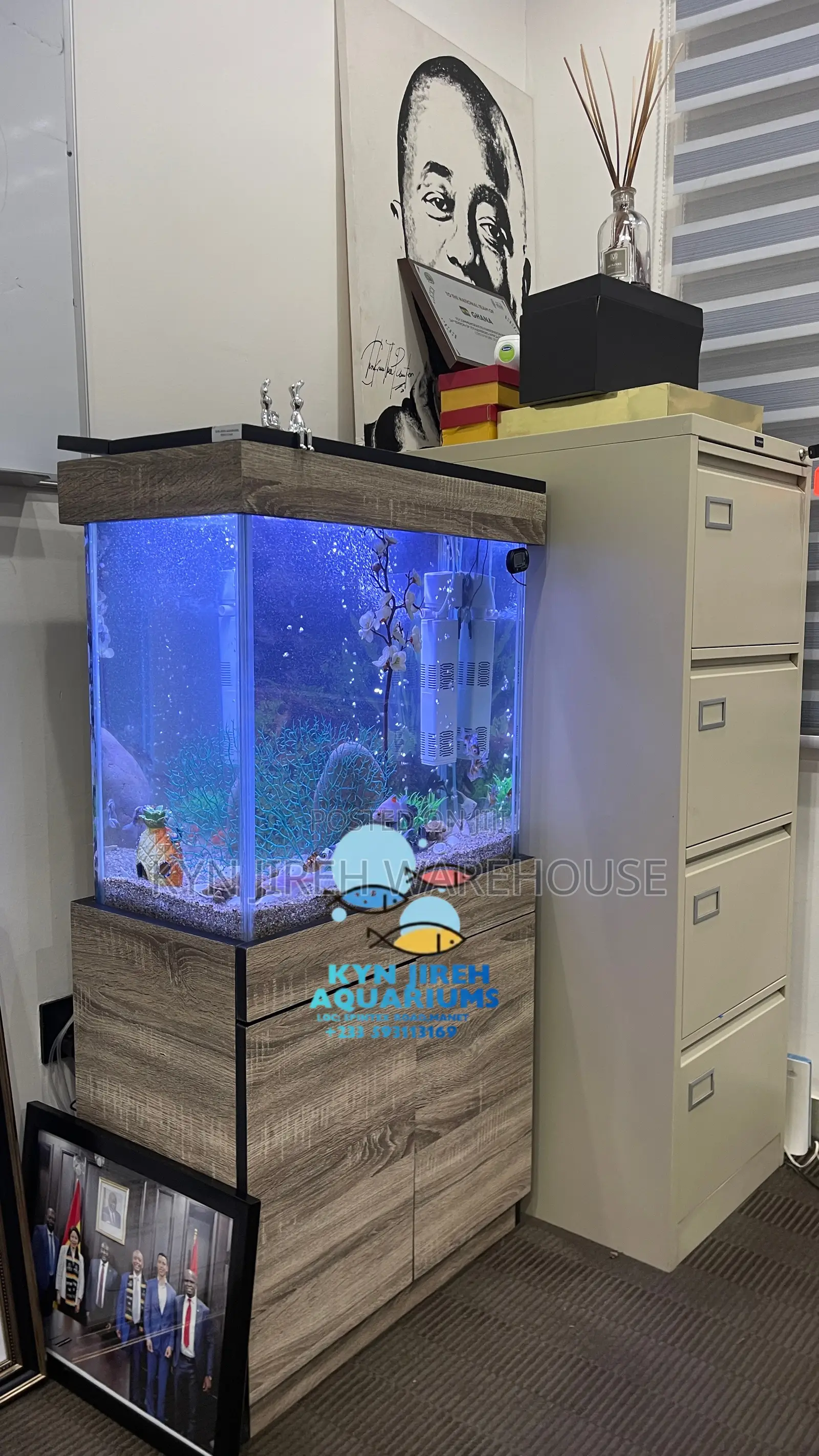 Caf Aquarium With Live Fishes