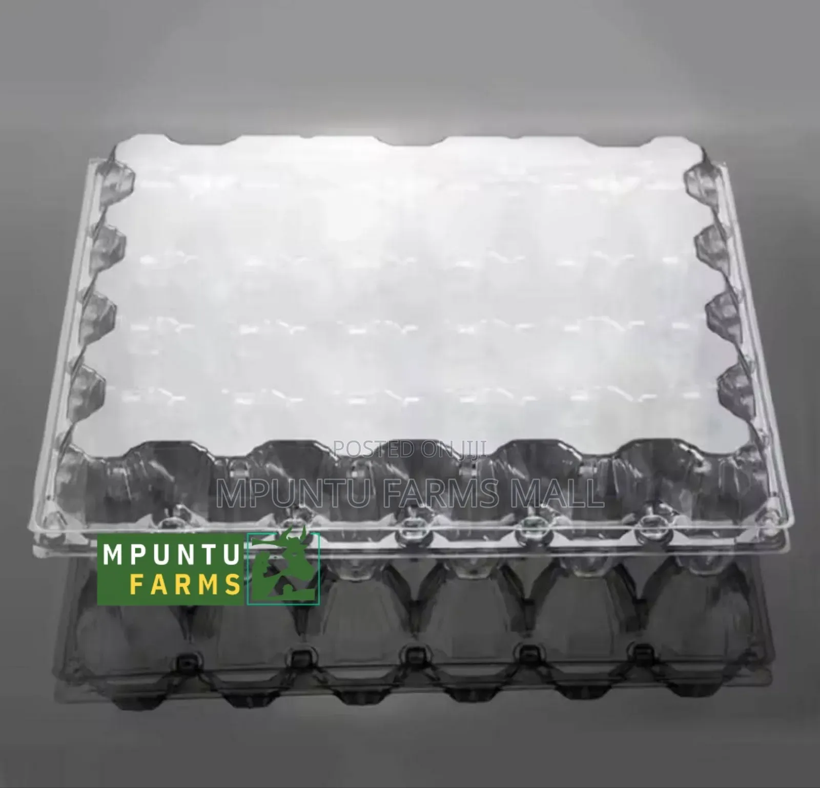 30 Holes Transparent Egg Crate