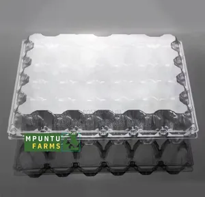 30 Holes Transparent Egg Crate