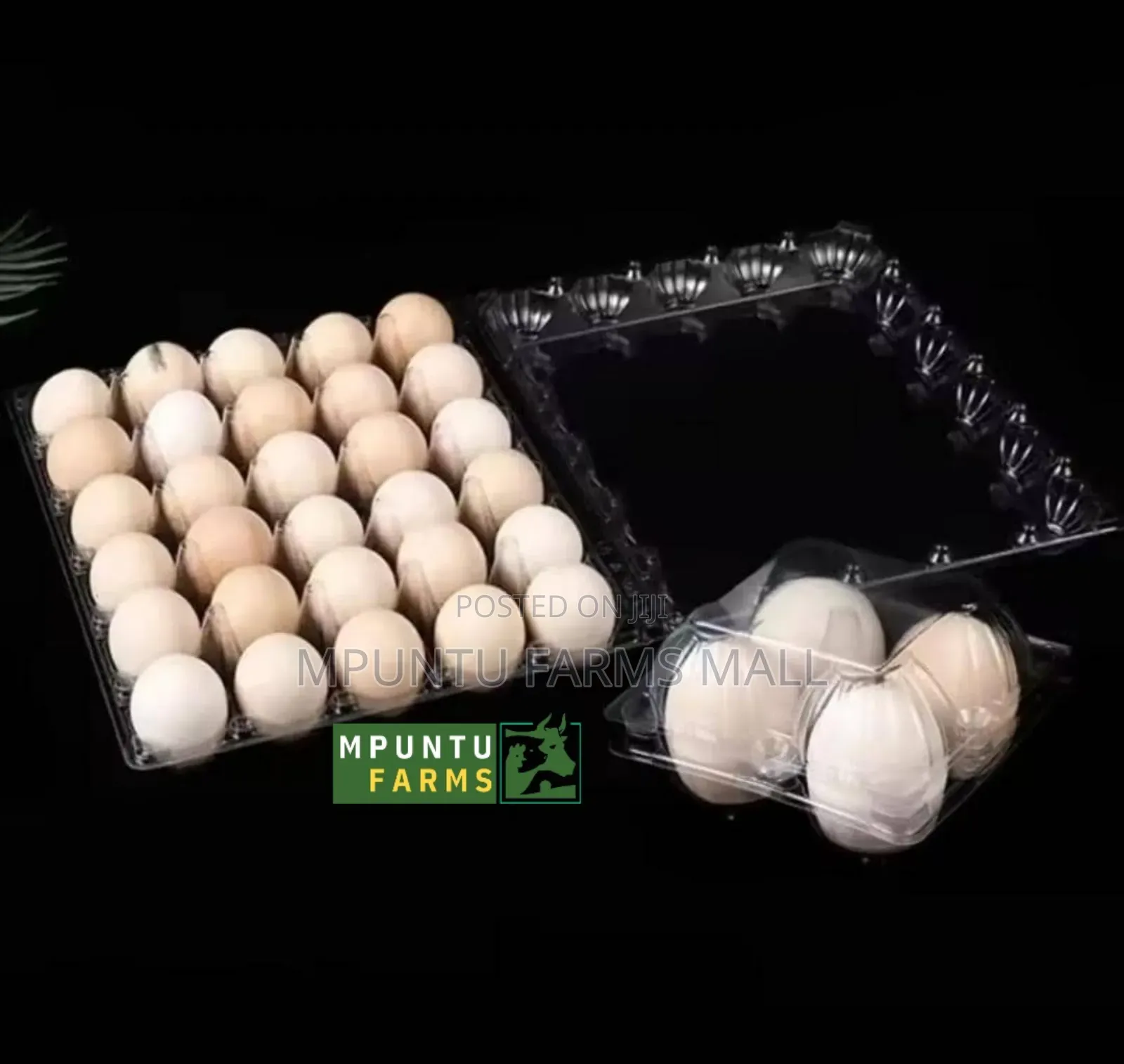 30 Holes Transparent Egg Crate