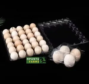 30 Holes Transparent Egg Crate