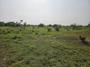 50, 000 Acres of Land at Shai Hills Vast Land for Sale*