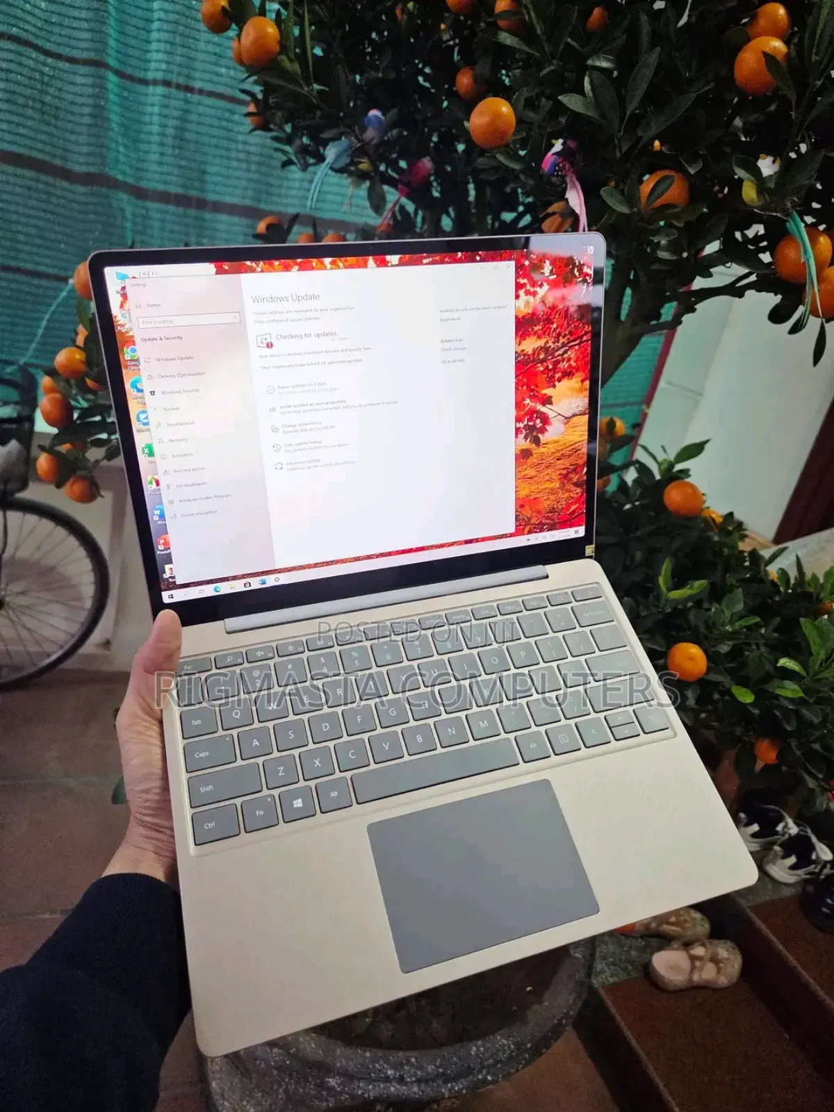 Laptop Microsoft Surface Laptop Go 8GB Intel Core I5 SSD 512GB
