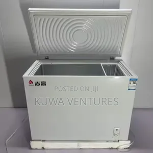 Chigo 330 Liters Deep Freezer
