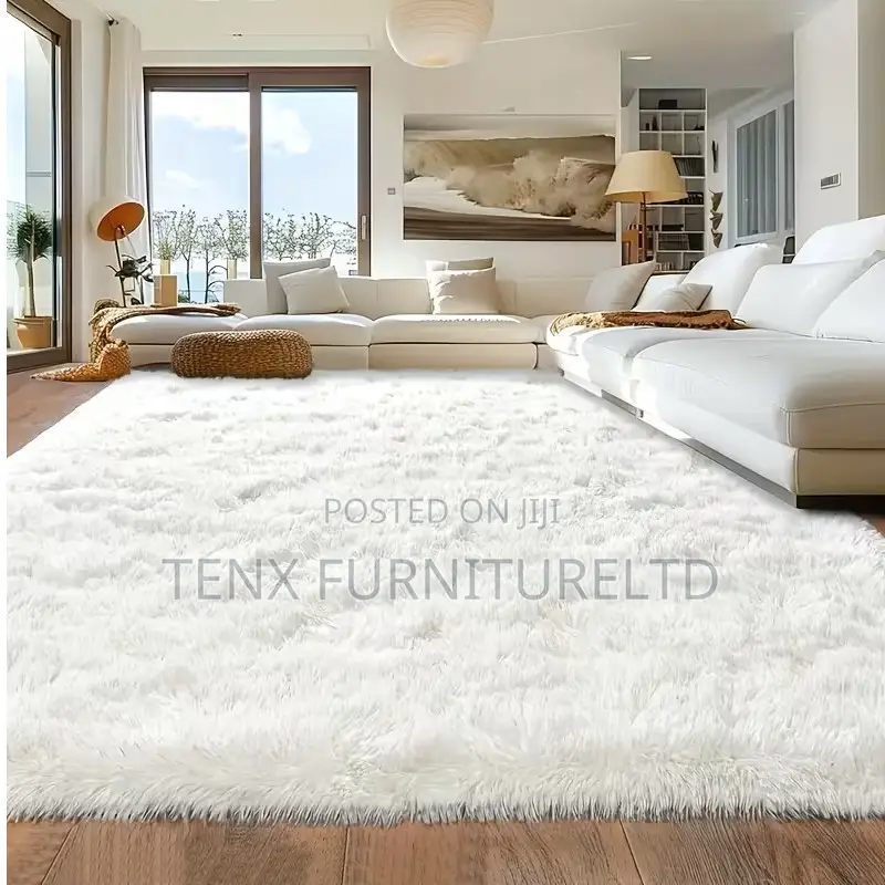 Shaggy Rug Carpet