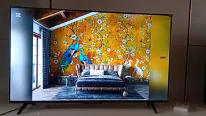 Experience True Color on a 50” Qled Smart Tv