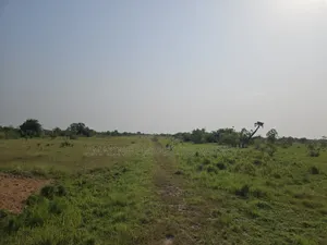 40 Acres of Land for Sale at School Junction