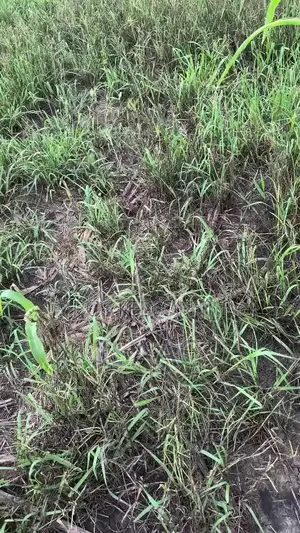 Plot Of Land For Sale