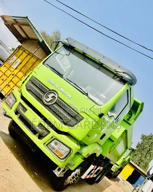 Brand New 6x4 Shacman H3000 Tipper Truck Green