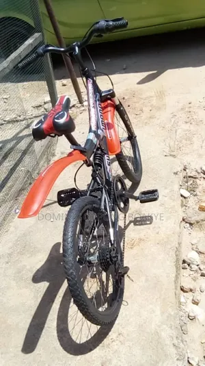 Mountain Bicycle