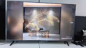 Entertainment Without Limits – 50” Qled Display