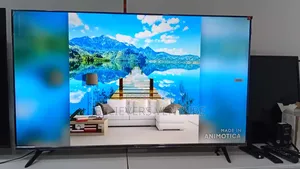 A Bigger, Brighter 50-Inch Qled Experience