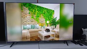 Next-Level Clarity on a 50-Inch Qled Smart Tv