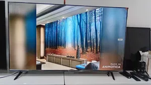 Stream Smarter on a 50” Qled Google Tv