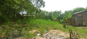 2 Plot of Land for Sale at Haatso