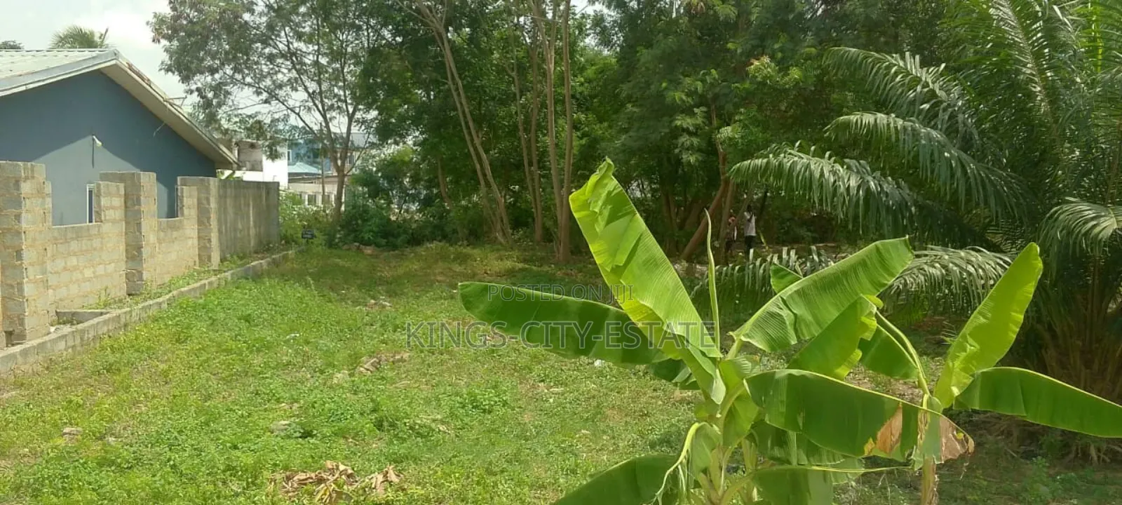 2 Plot of Land for Sale at Haatso