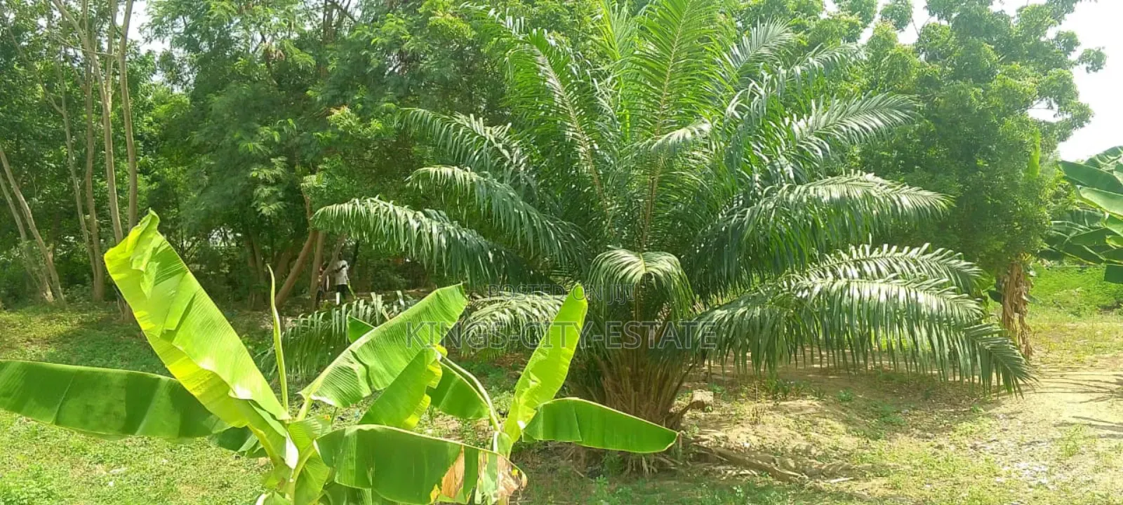 2 Plot of Land for Sale at Haatso
