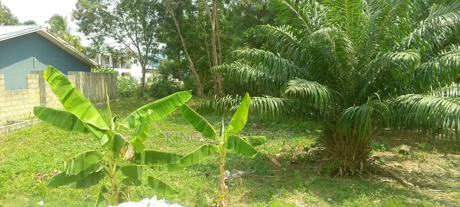 2 Plot of Land for Sale at Haatso