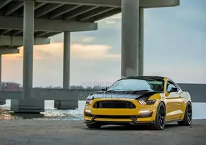 Gt350 Shelby Style Full Front Bumper Kit Body Kit Fit for Ford Mustang