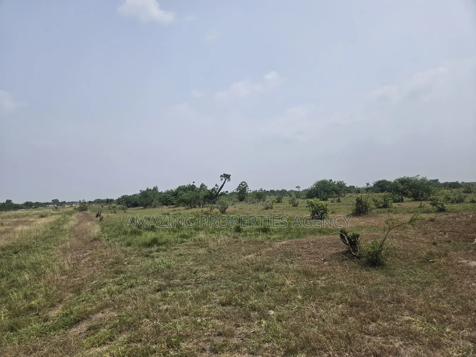 20 Acres of Estate Land at West Trasacco