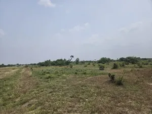 20 Acres of Estate Land at West Trasacco