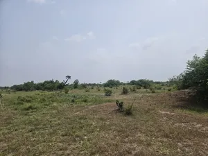 20 Acres of Estate Land at West Trasacco