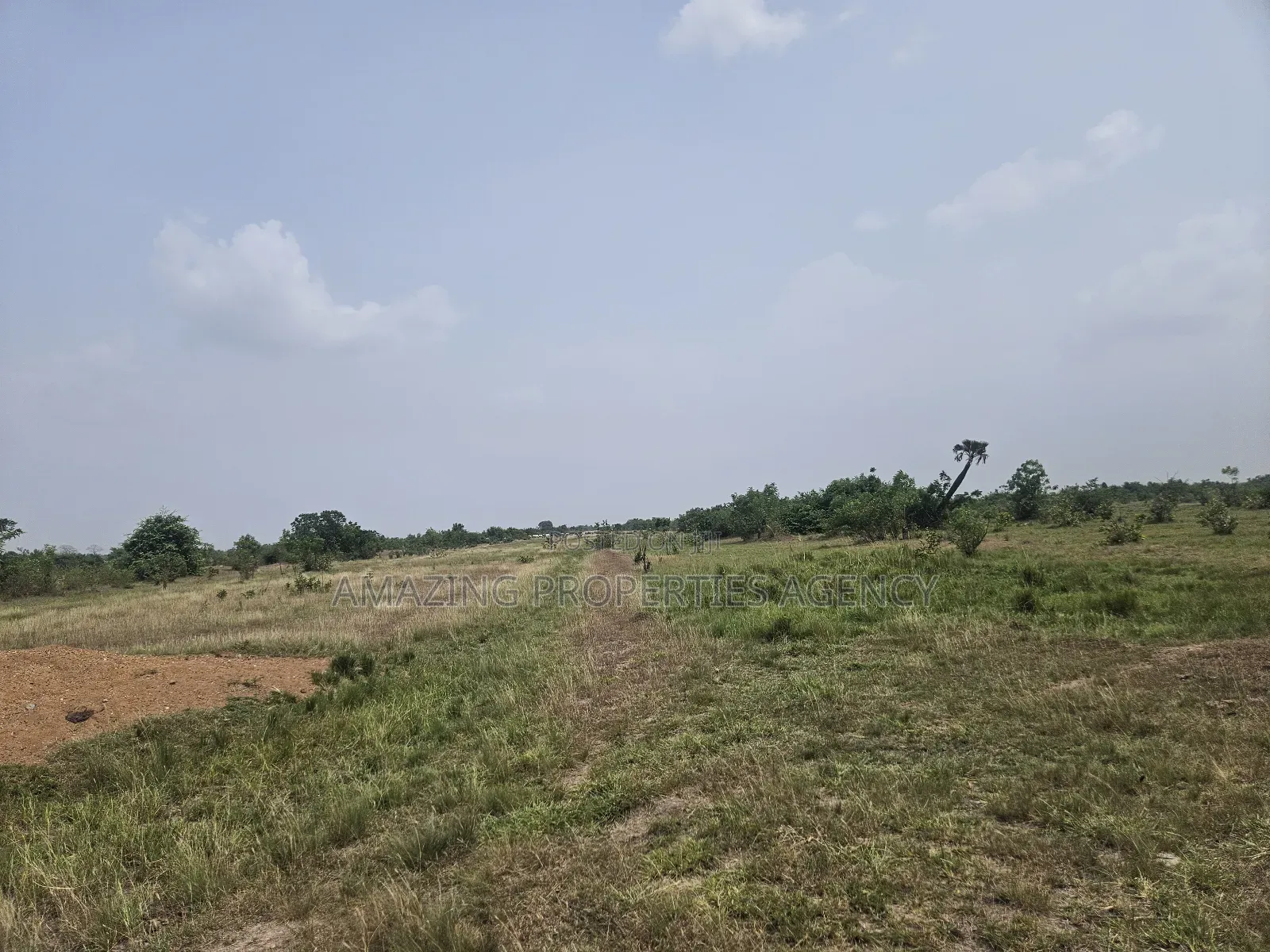 20 Acres of Estate Land at West Trasacco