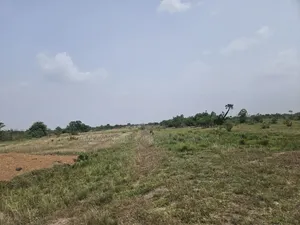 20 Acres of Estate Land at West Trasacco