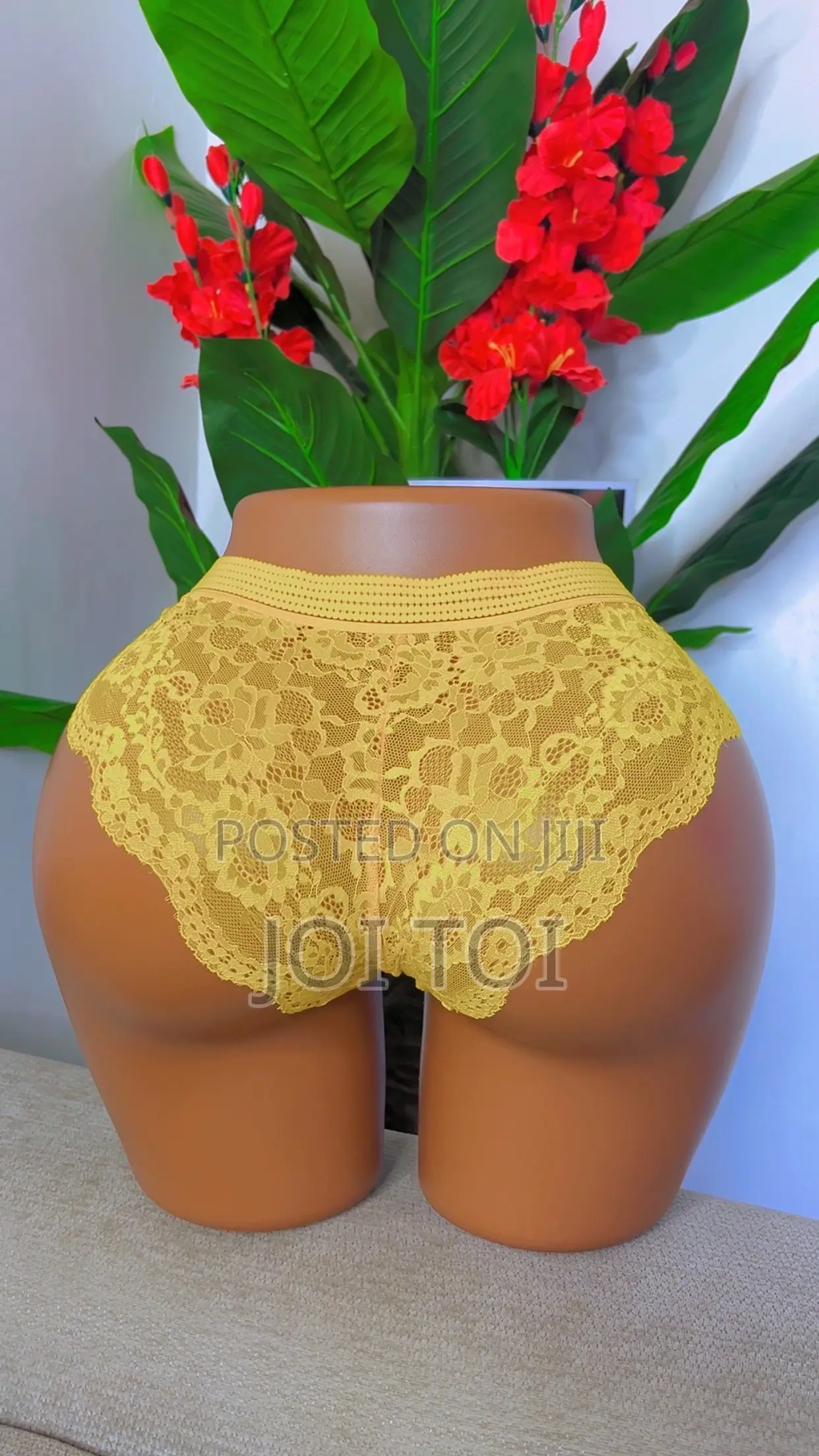 6 Pieces Panties for Ladies