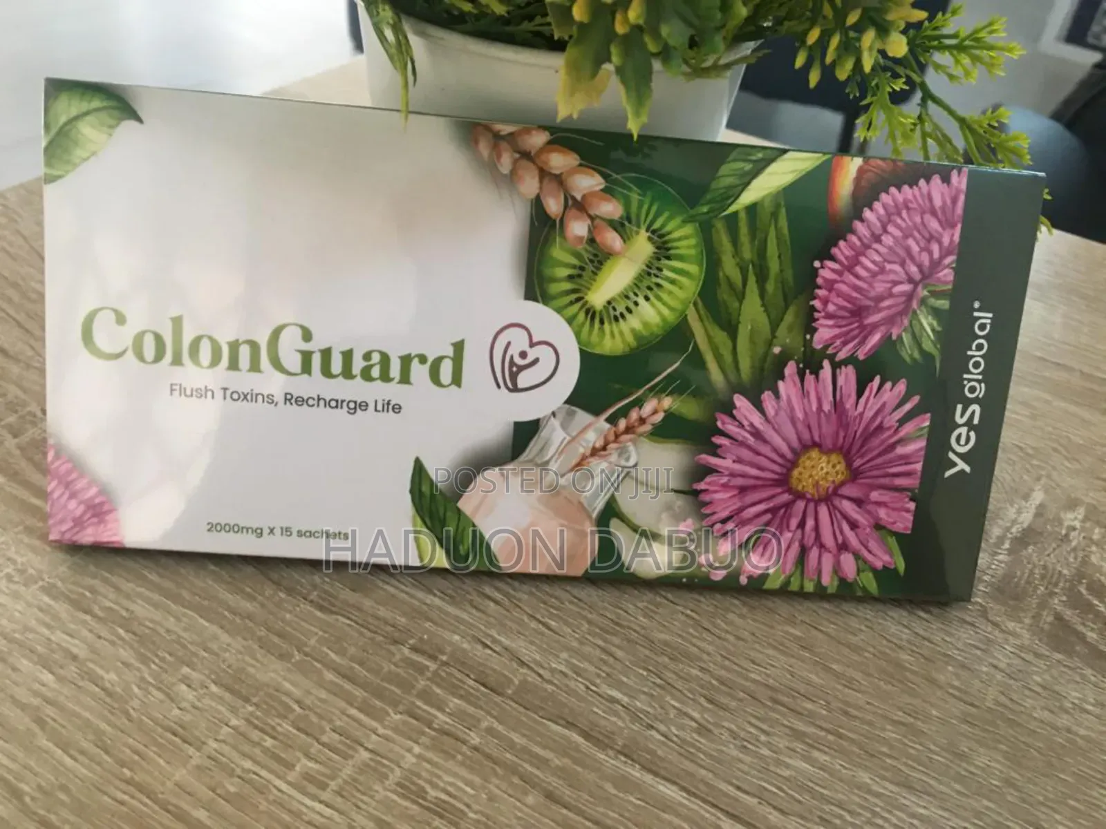 Colon Gaurd From Yes Global
