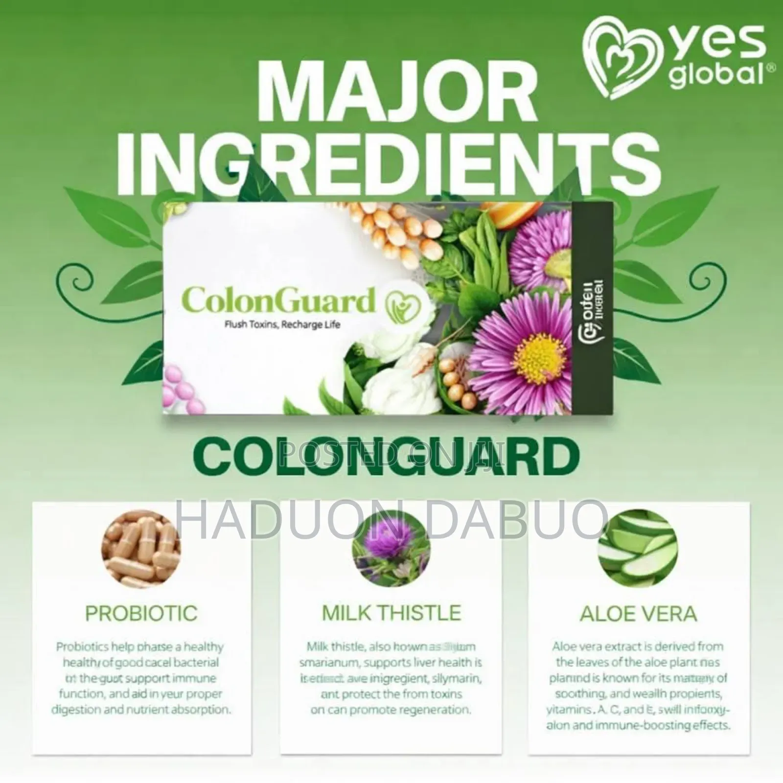 Colon Gaurd From Yes Global