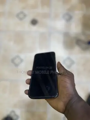 Apple iPhone 12 Pro Max 256 GB Blue