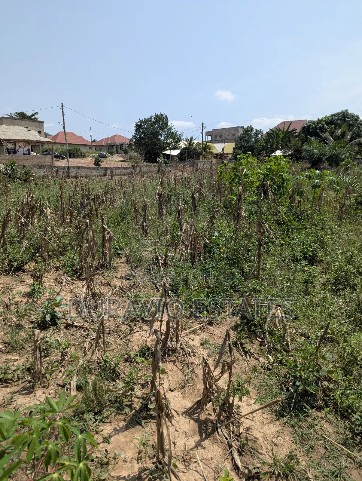 A 4 Plots in Adako Jachie-Tikrom