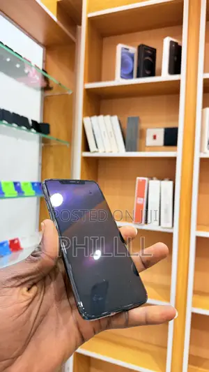 Apple iPhone 11 Pro Max 256 GB Gray