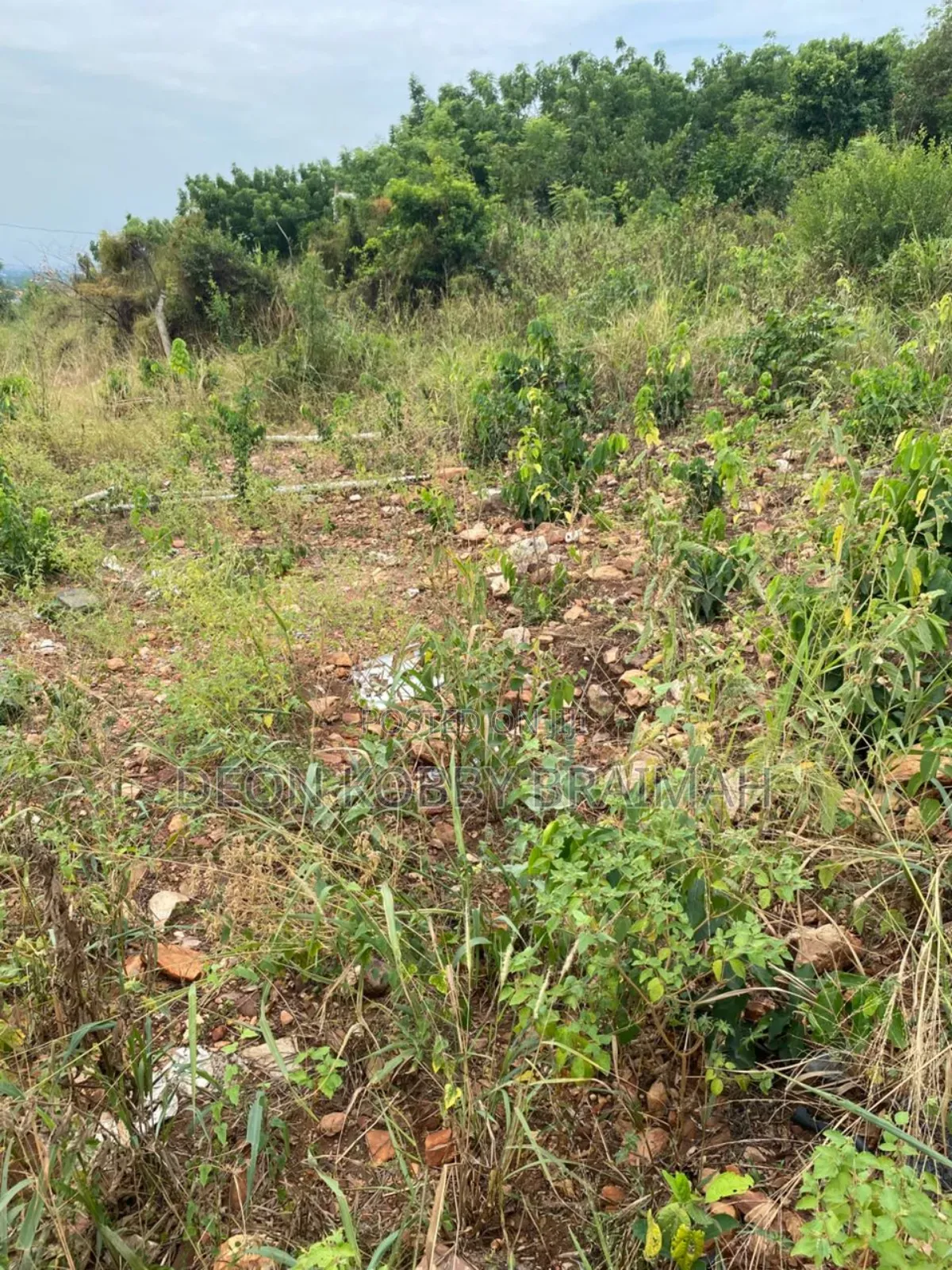 City View Land for Sale
