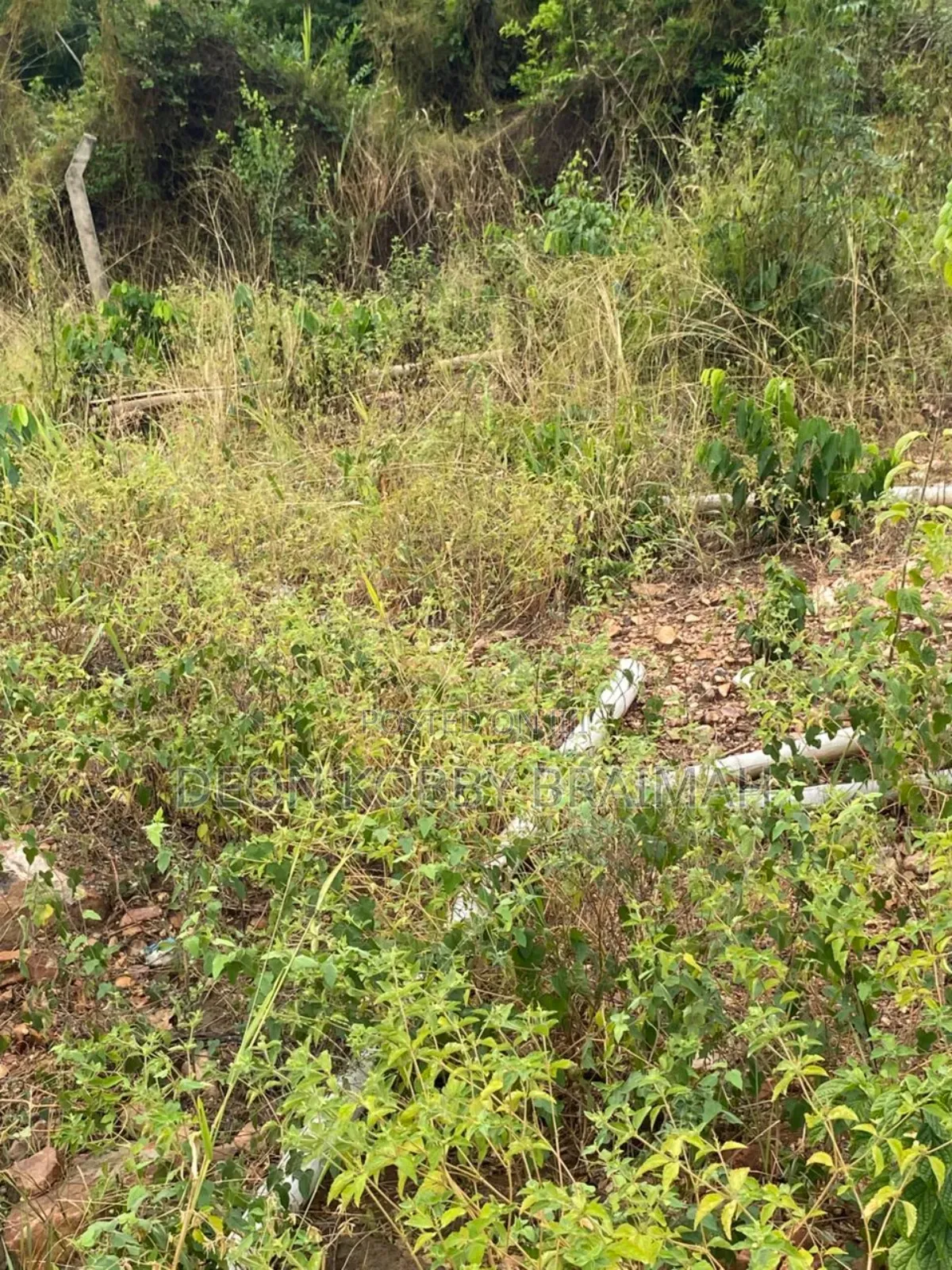 City View Land for Sale