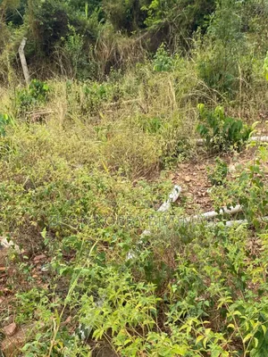 City View Land for Sale