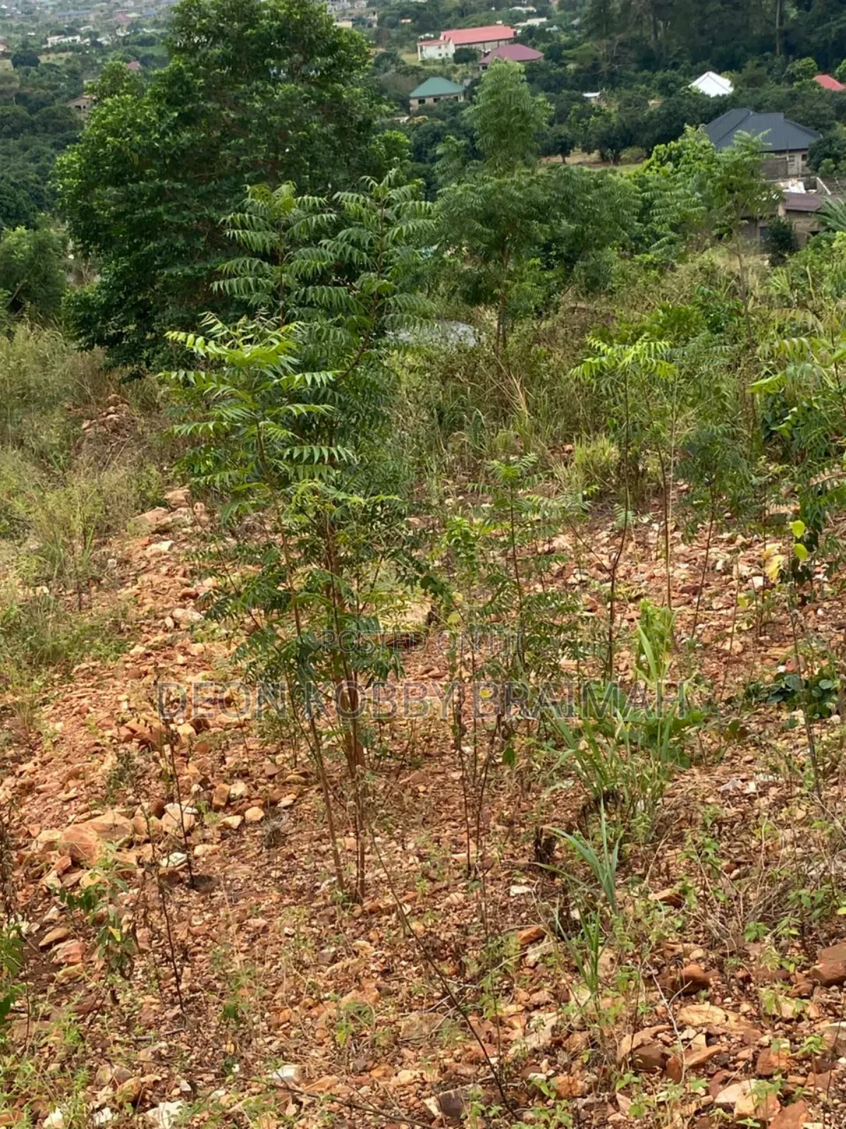 City View Land for Sale