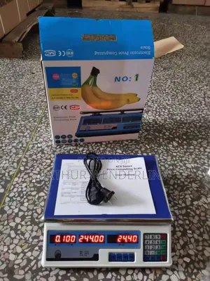 Electronic Price Computing Scale